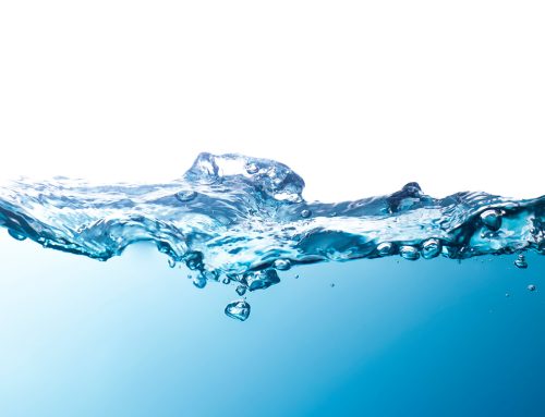 Hydrated and Healthy: The Truth About Your Water-Based Body